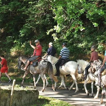 펜션 Les Du Moulin Du Chatain 3 Payzac (Dordogne)