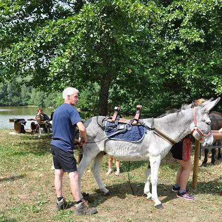 Les Du Moulin Du Chatain 3 Payzac (Dordogne)